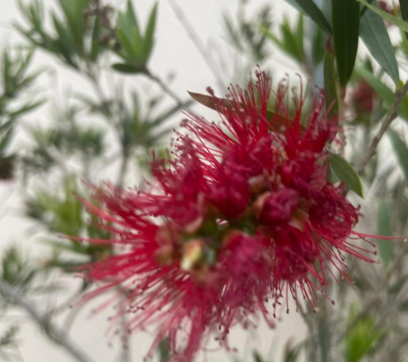 Photo of Outdoor in Littlehampton