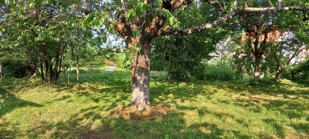 Photo of Outdoor in Sainte-Eulalie