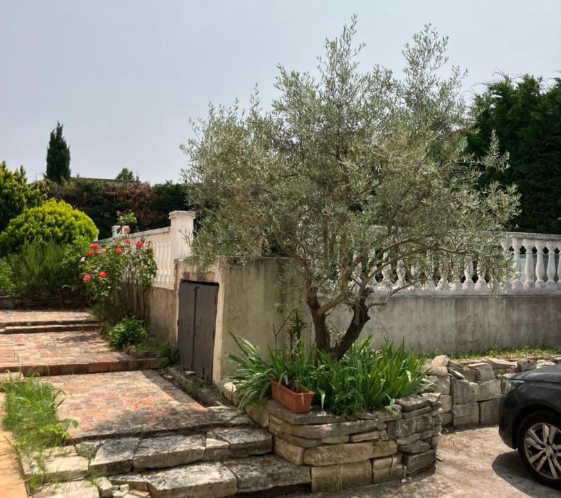 Photo of Others in Ales