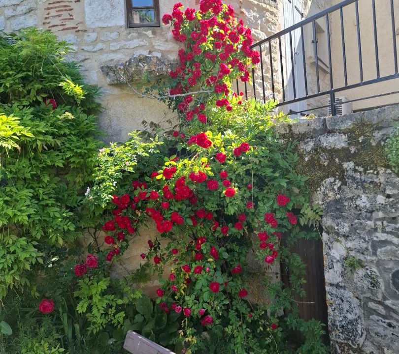 Photo of Others in Saint-Vincent-Rive-d'Olt