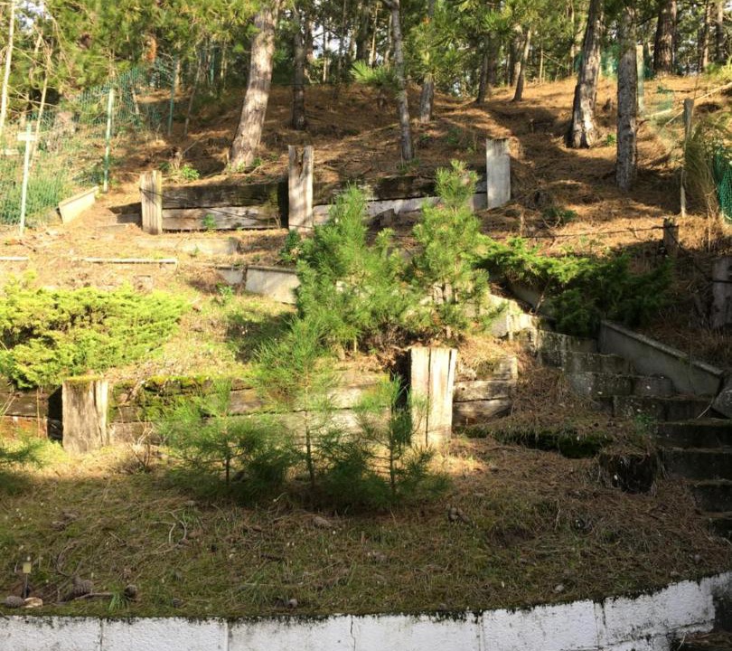 Photo of Others in Quend-Plage-les-Pins