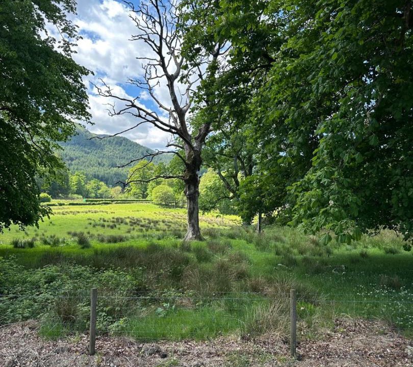 Photo of Others in Ardentinny