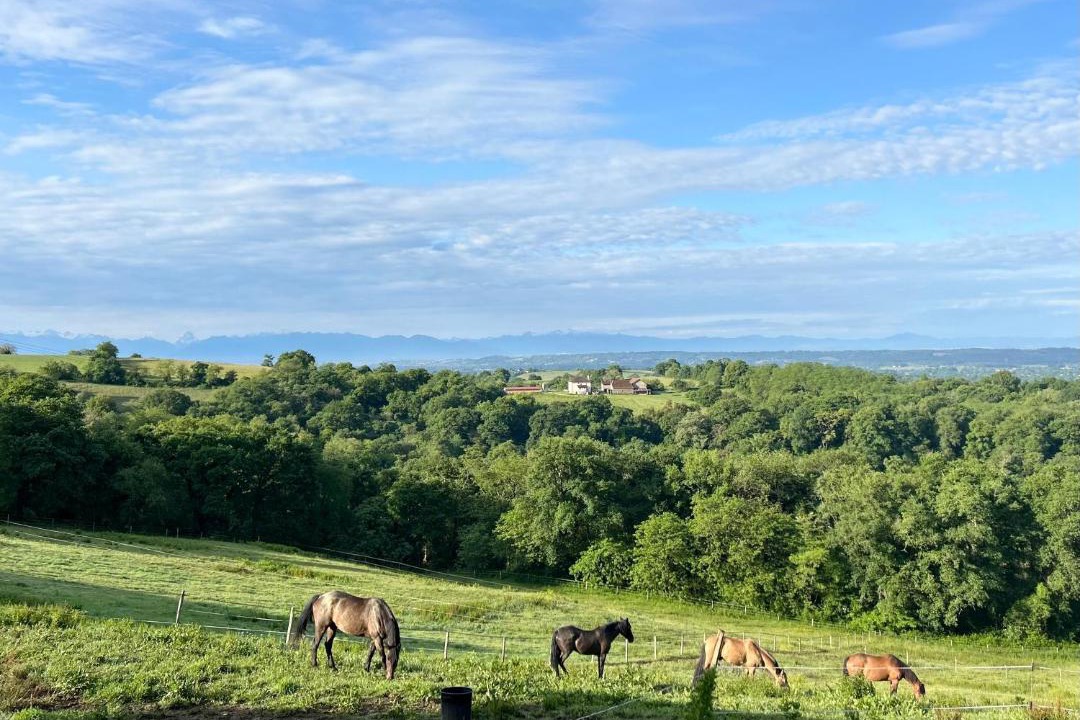 Photo of Others in Fichous-Riumayou