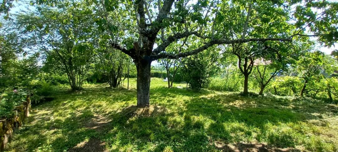 Photo of Outdoor in Sainte-Eulalie