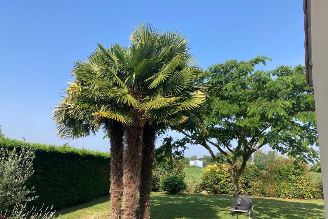 Photo of Others in Teloche