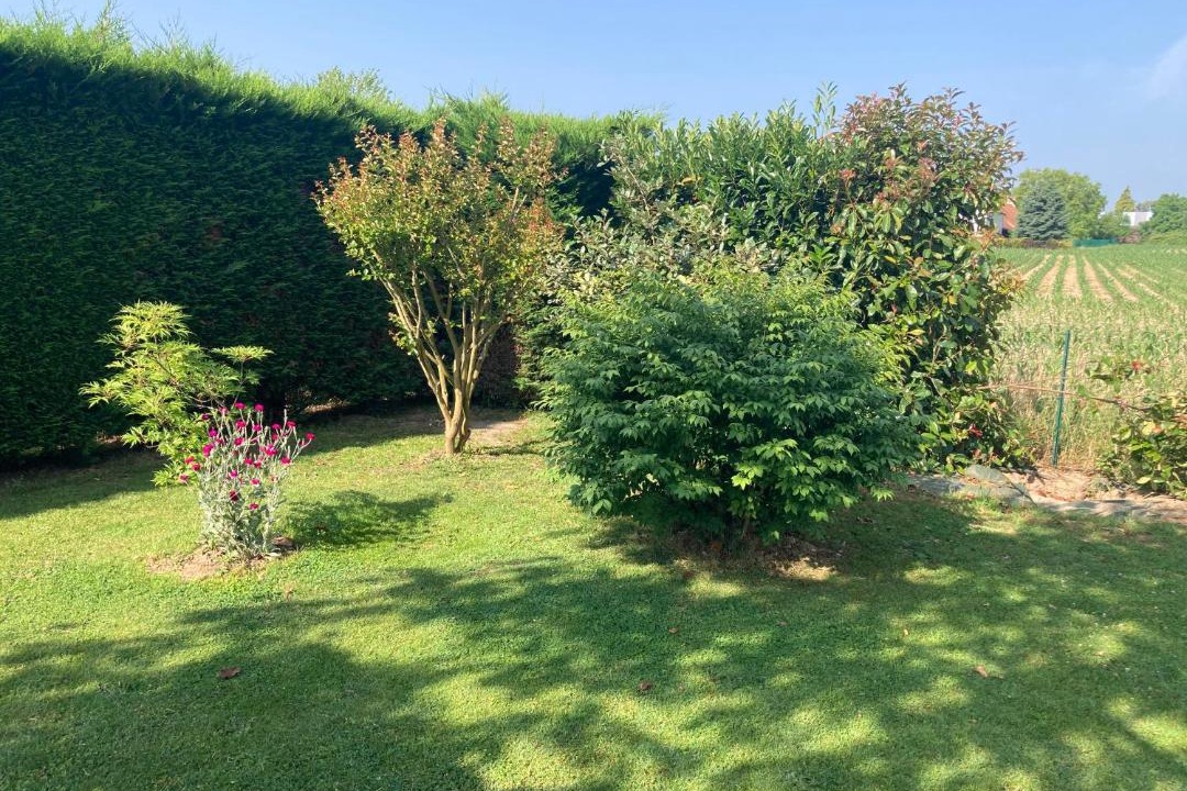 Photo of Others in Teloche