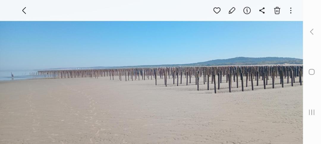 Photo of Others in Camiers