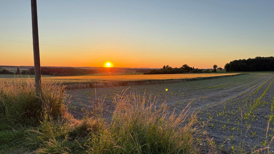 Photo of Others in Sud Charente