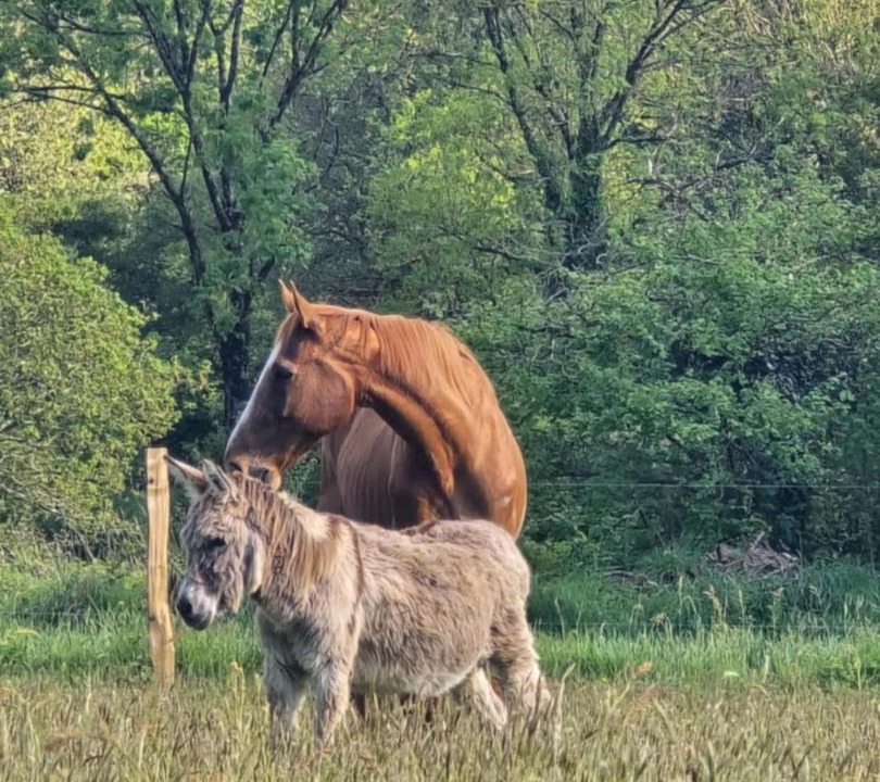 Photo of Others in Callac