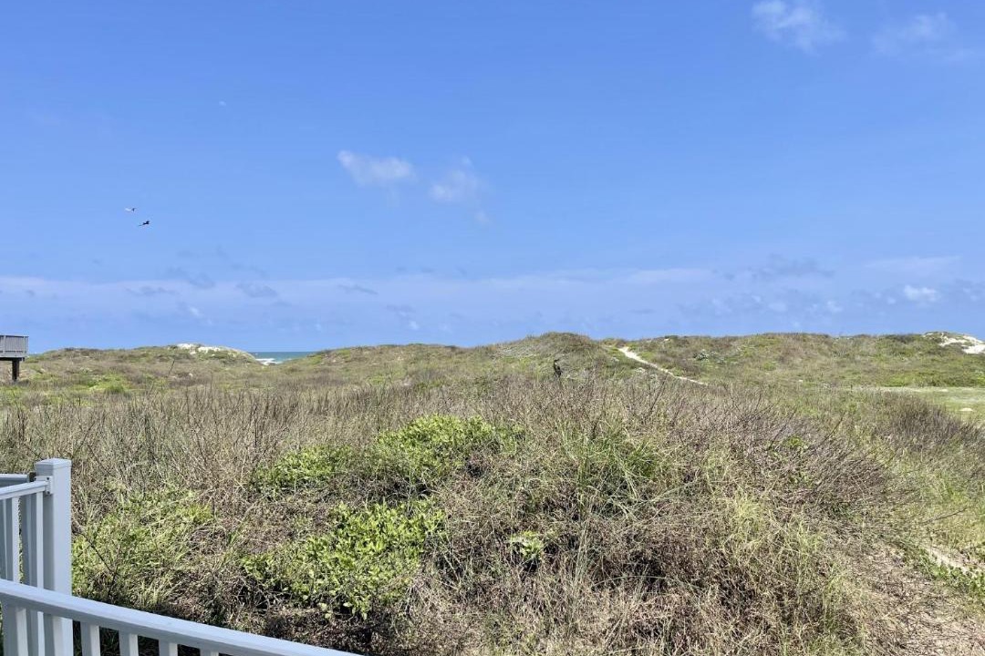 Photo of Others in Port Aransas