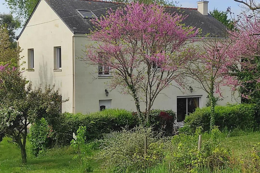 Photo of Others in Saumur