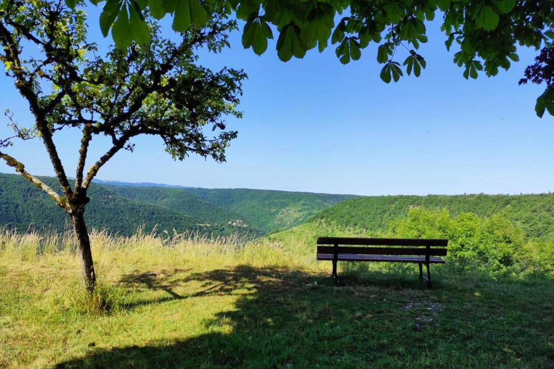 Photo of Others in Vuillafans