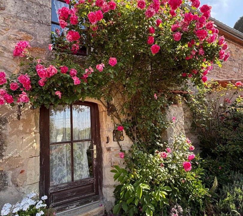Photo of Others in Doue-en-Anjou