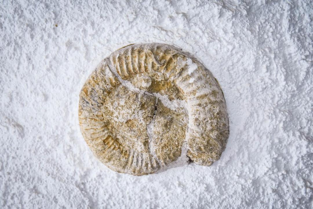 Photo of Others in Remilly-en-Montagne