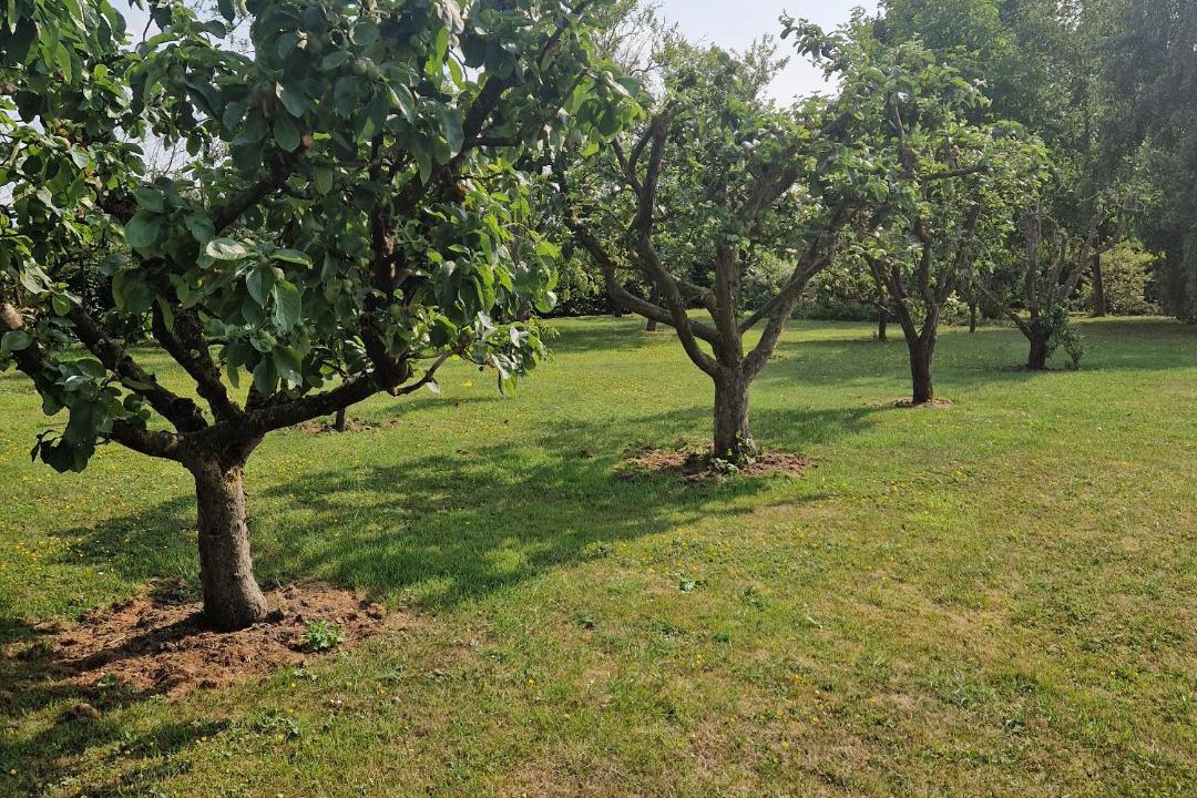 Photo of Others in Haverskerque