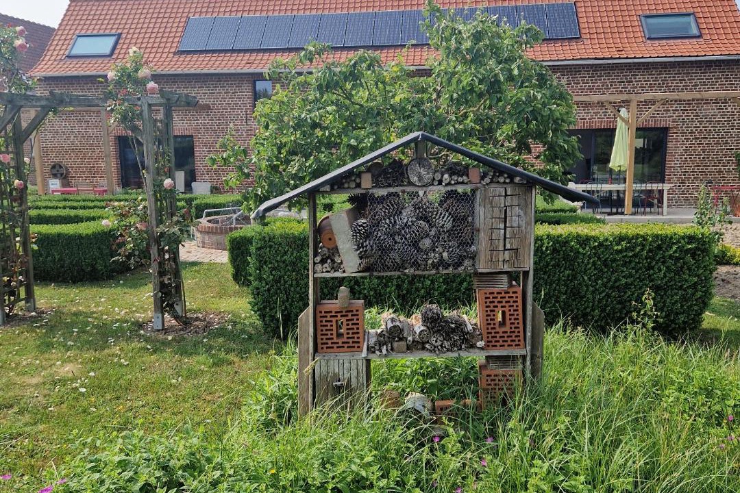 Photo of Others in Haverskerque