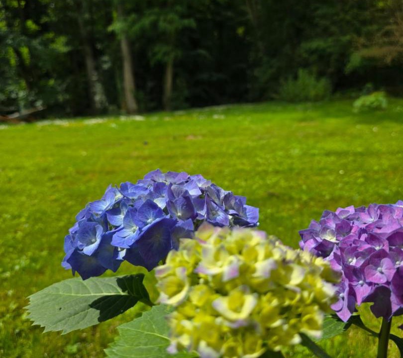 Photo of Outdoor in Villandry
