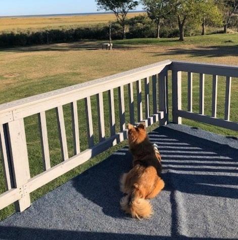 Photo of Others in Cape Charles