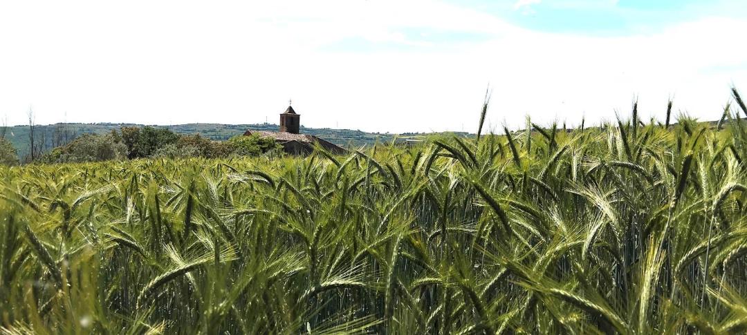 Photo of Others in La Baronia de Rialb