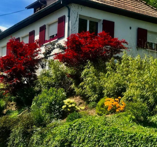 Photo of Others in Breitenbach-Haut-Rhin