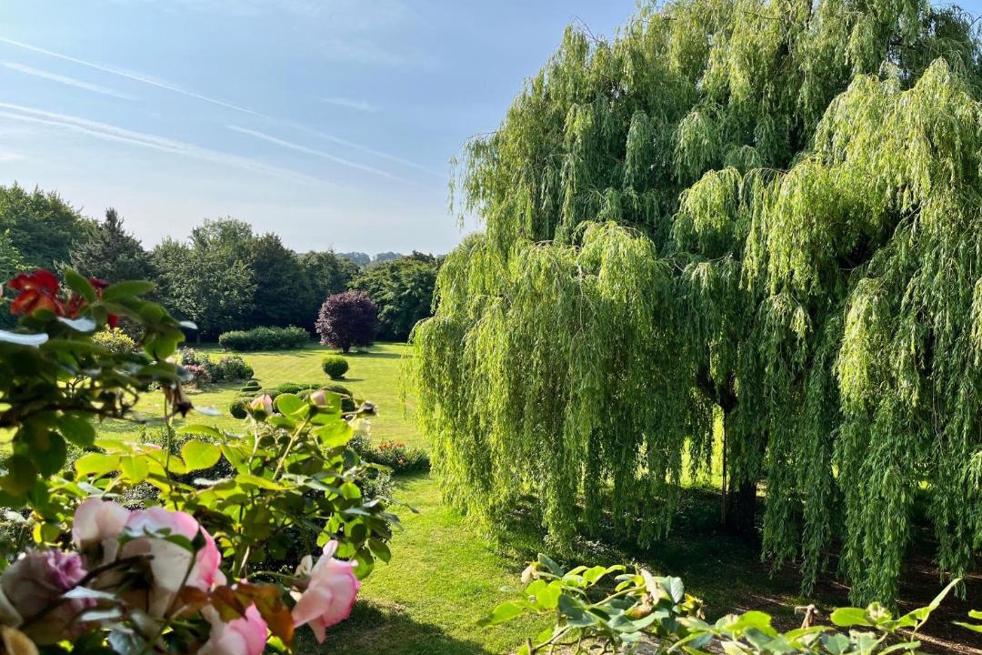 Photo of Others in Victot - Pontfol