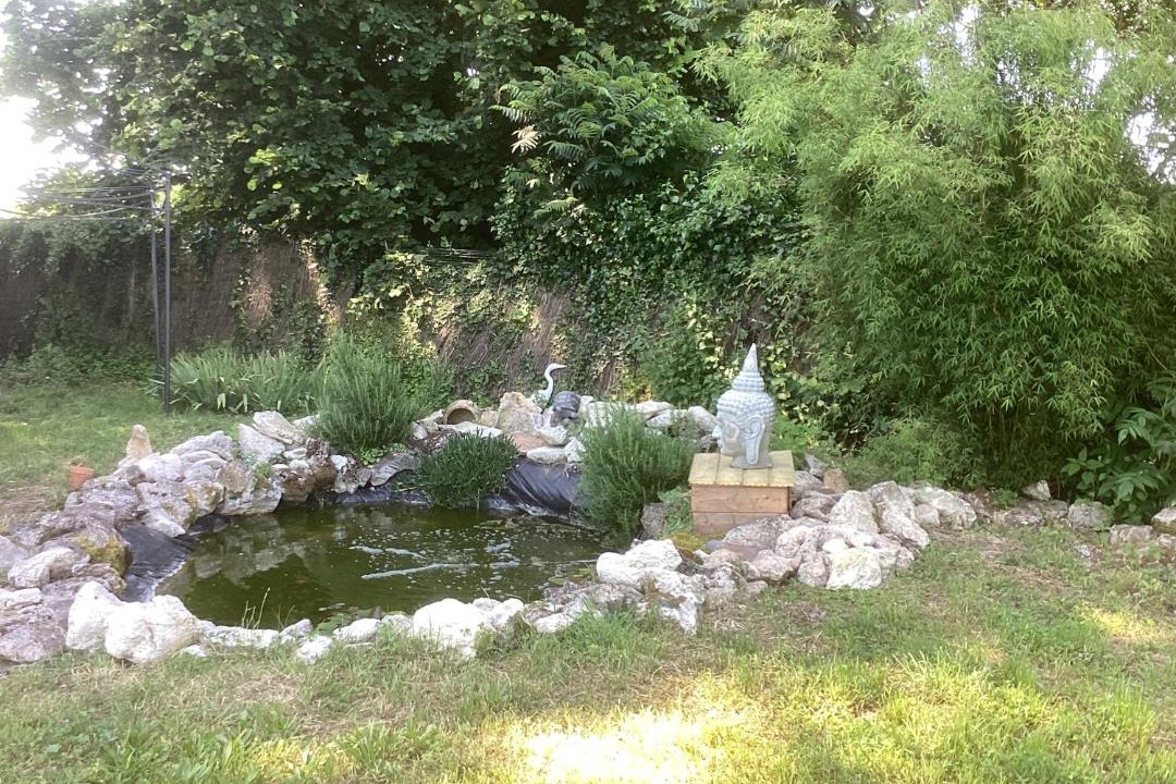 Photo of Others in Illats