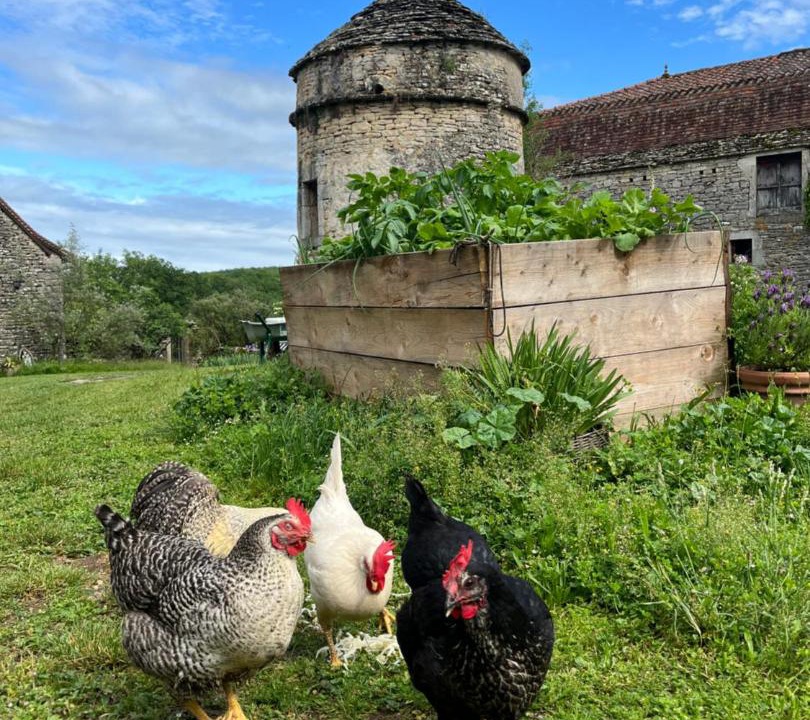 Photo of Others in Limogne-en-Quercy