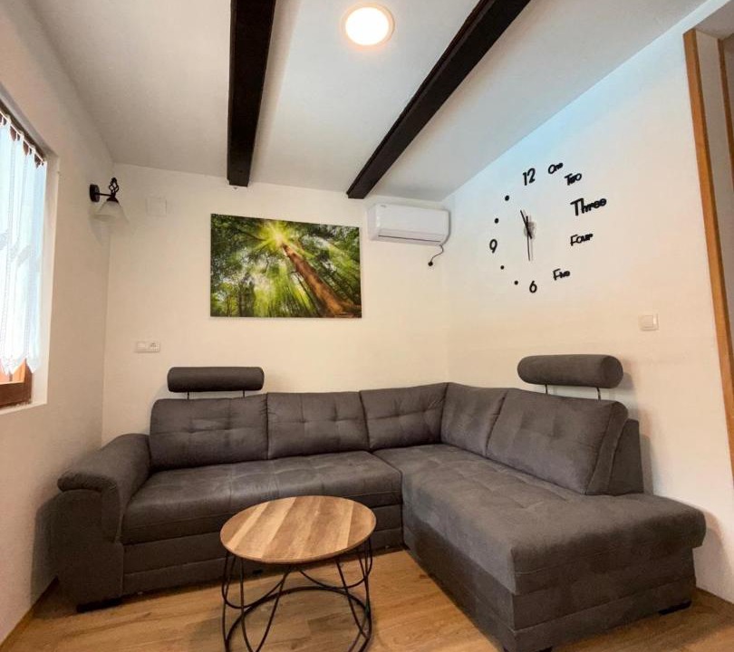 Photo of Livingroom in Frkasic