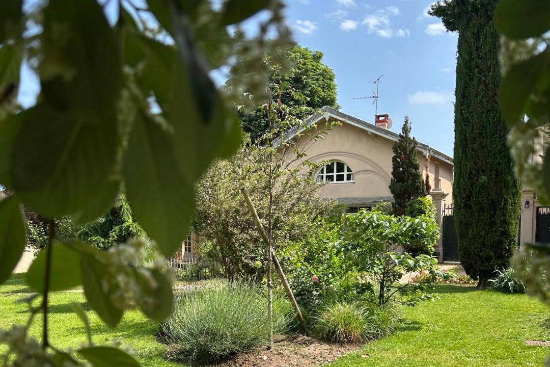 Photo of Others in Lancie