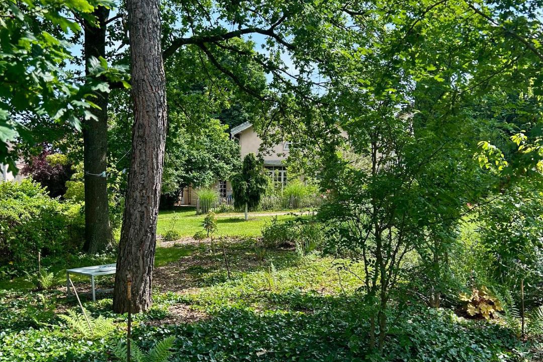 Photo of Others in Lancie