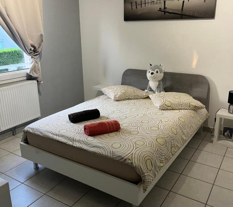 Photo of Others in Andrezieux-Boutheon