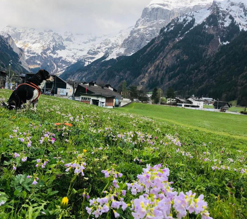 Photo of Others in Engelberg