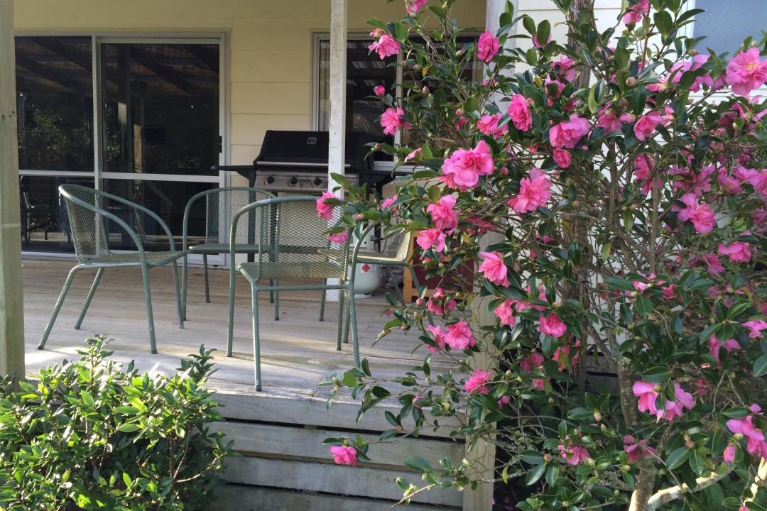 Photo of Others in Tuai