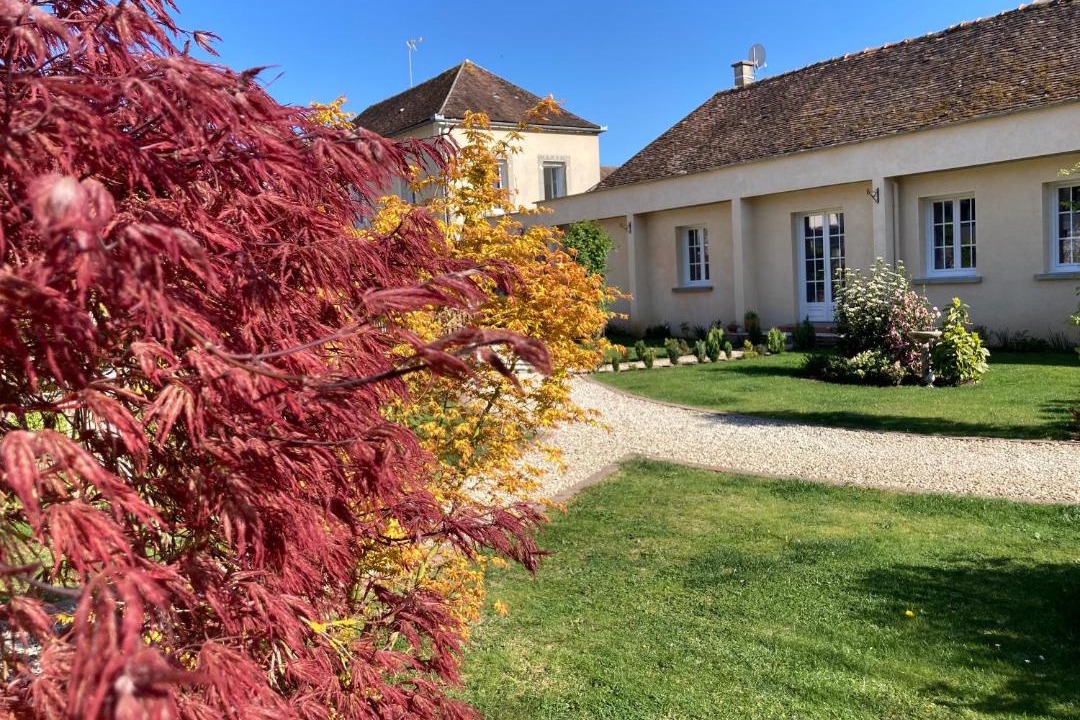 Photo of Others in Chablis