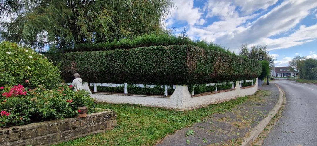 Photo of Others in La Celle-sous-Gouzon