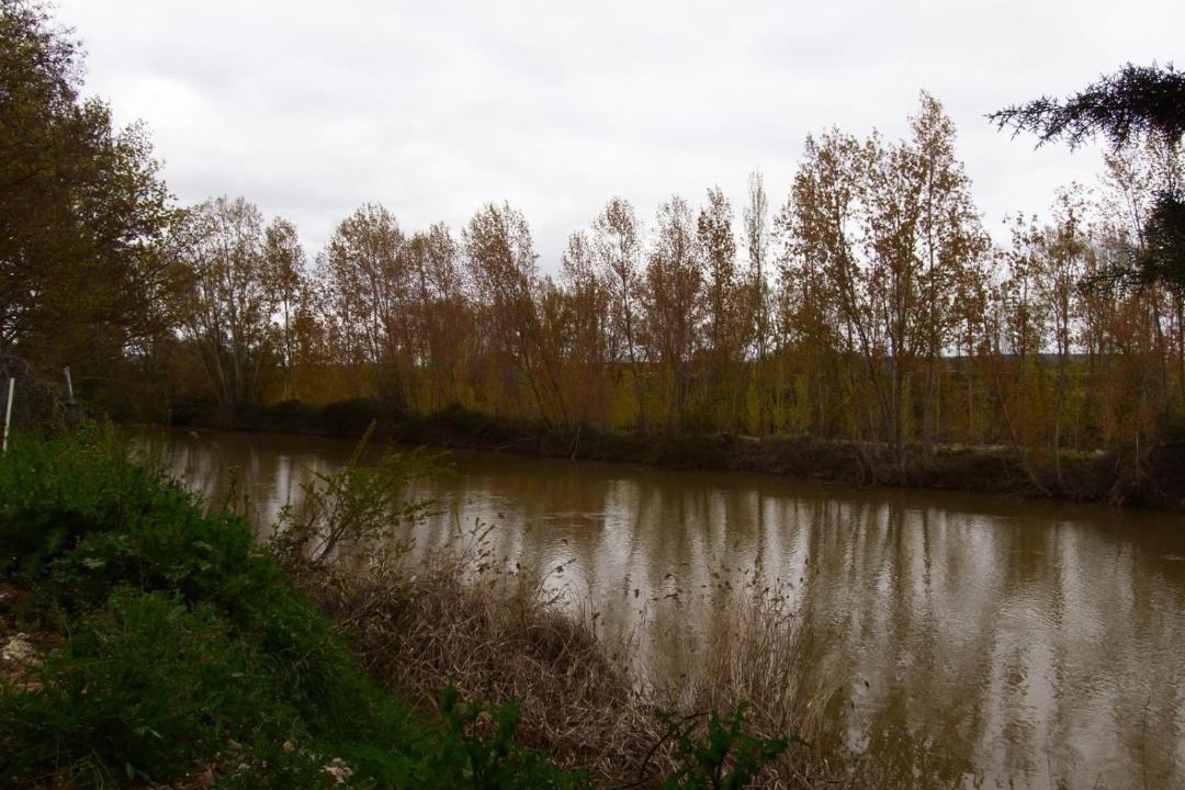 Photo of Others in Vadocondes