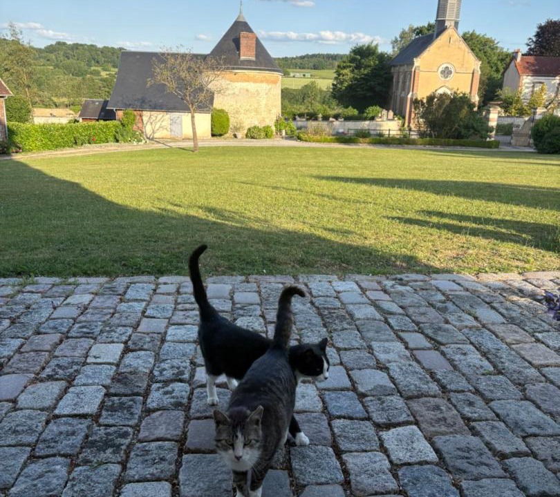 Photo of Others in Saint-Agnan-sur-Sarthe