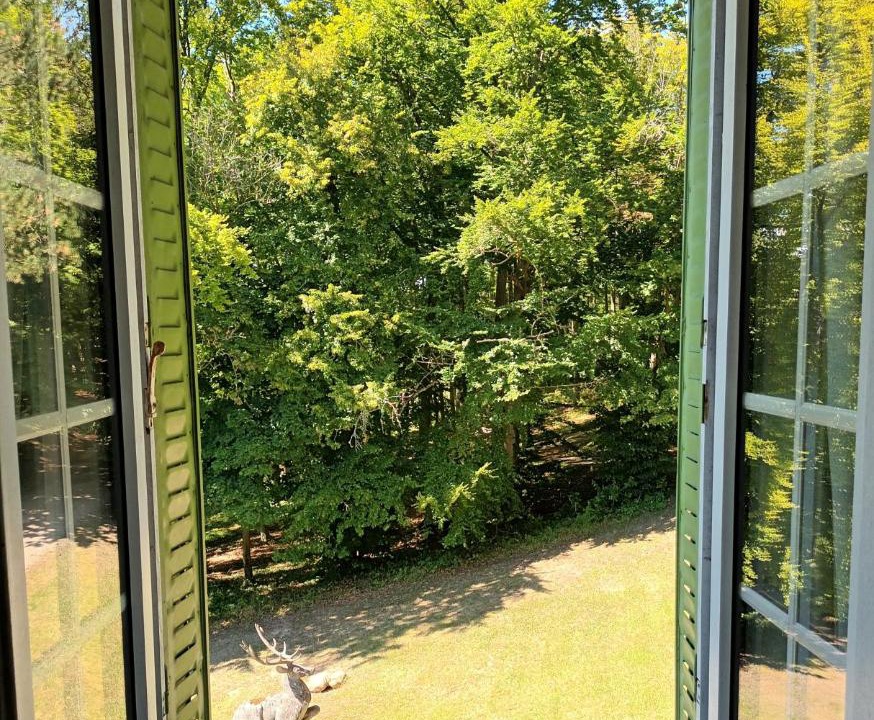 Photo of Patio Balcony in Gaillon-sur-Montcient