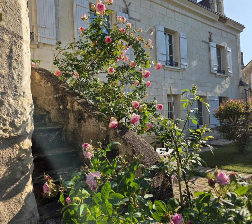 Photo of Others in Gennes-Val-de-Loire