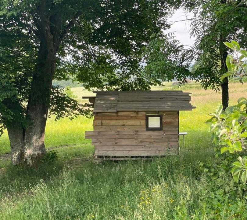 Photo of Others in Thalamy