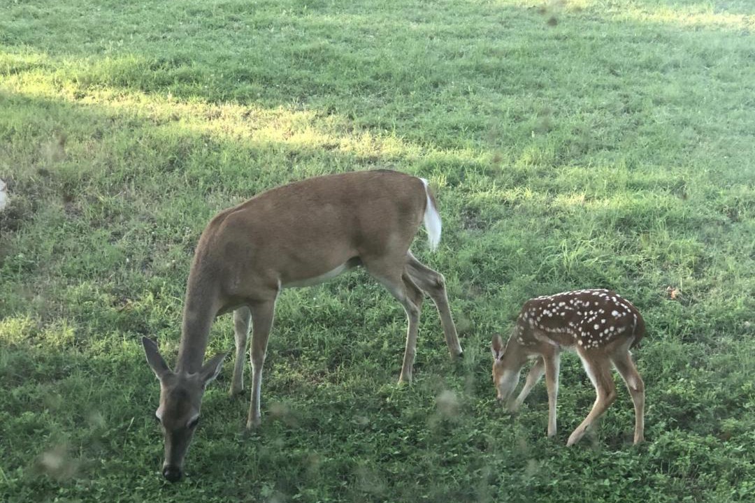 Photo of Others in Tow
