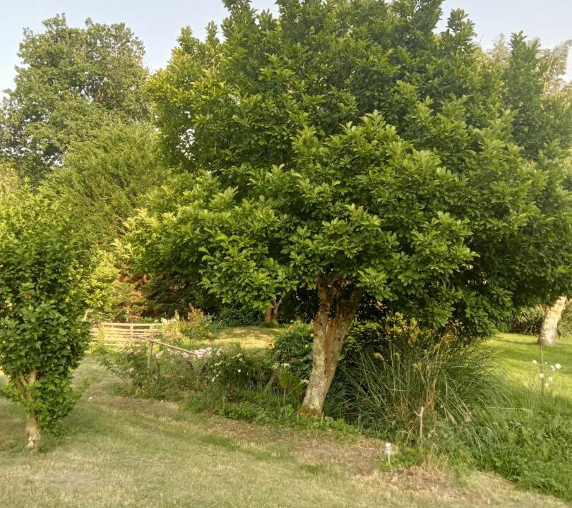 Photo of Outdoor in Montendre