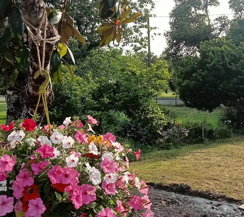 Photo of Others in Montendre