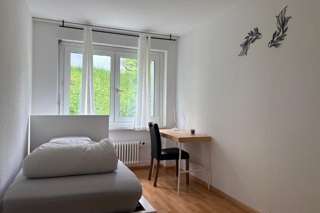 Photo of Others in Horgen District