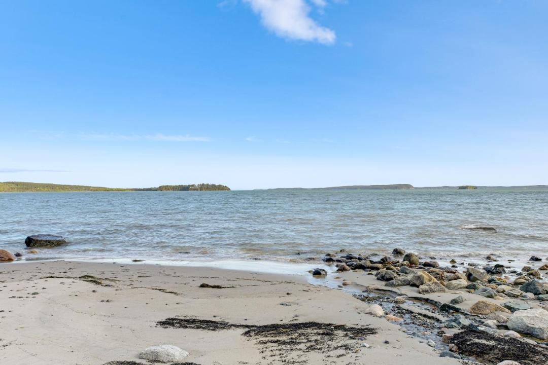 Photo of Others in Roque Bluffs