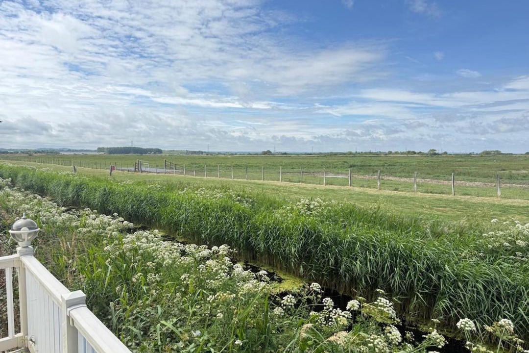 Photo of Others in Seasalter