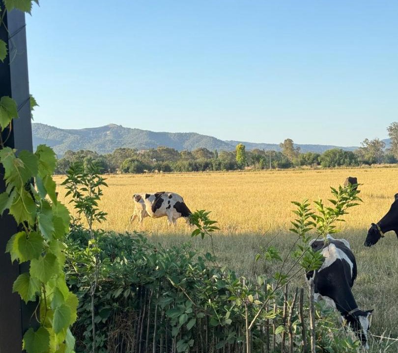 Photo of Others in Whitfield