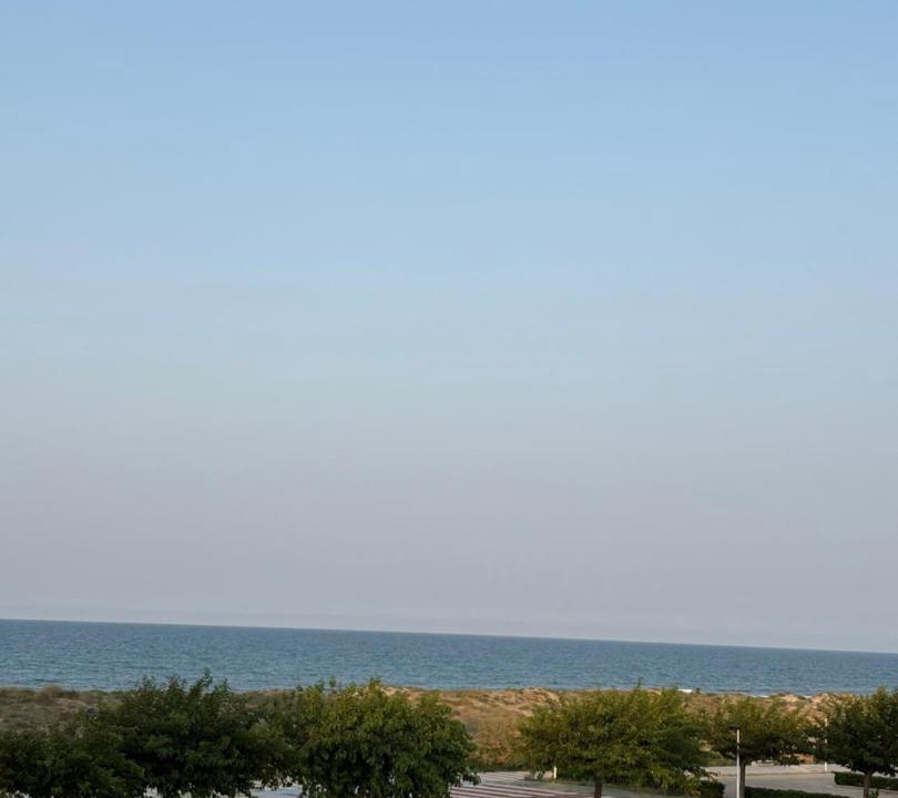 Photo of Others in Daimuz