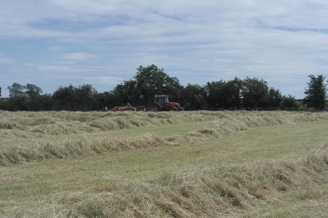 Photo of Others in Towcester