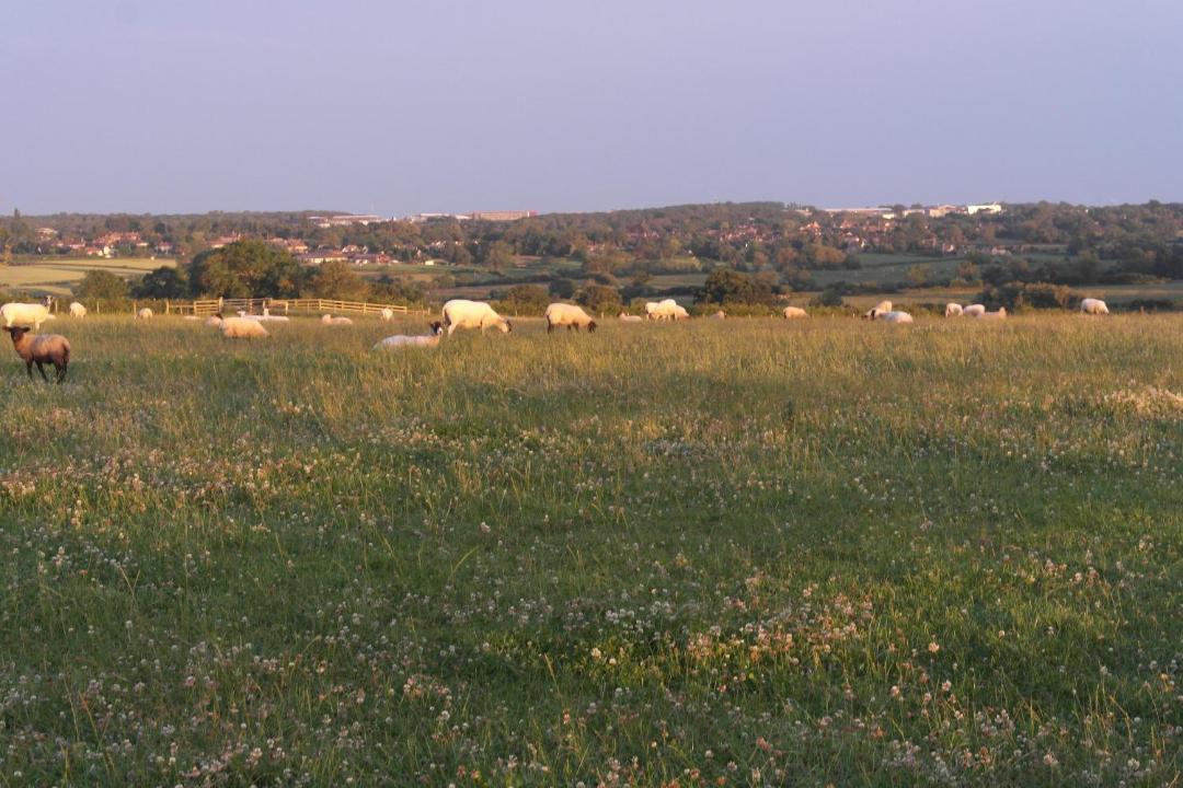 Photo of Others in Towcester